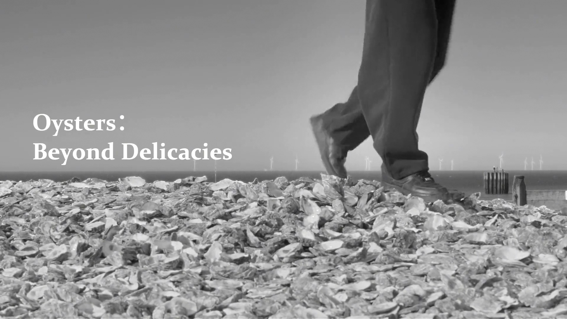 Oyster; Beyond Delicacies title image