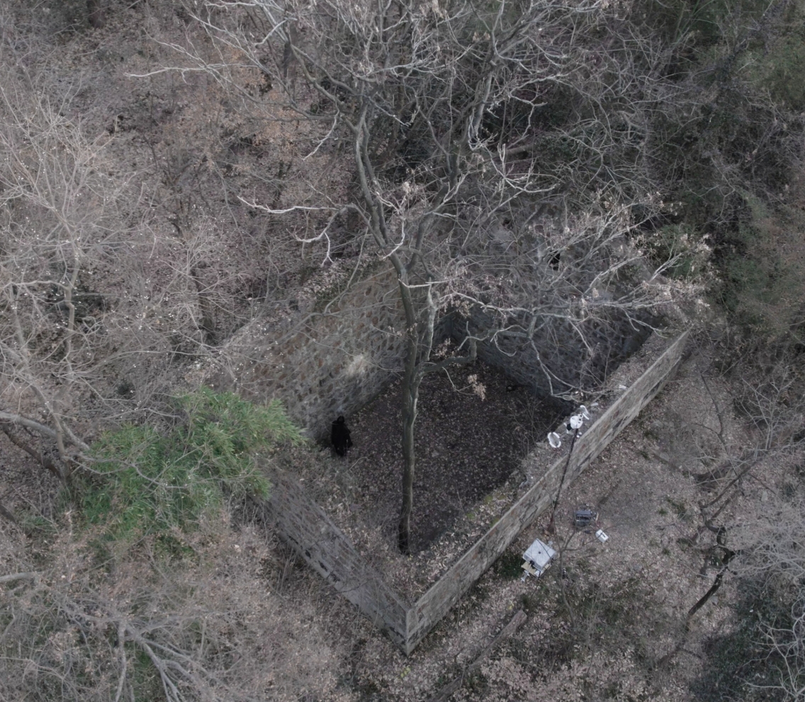 Aerial view of the installation site within wooded ruins
