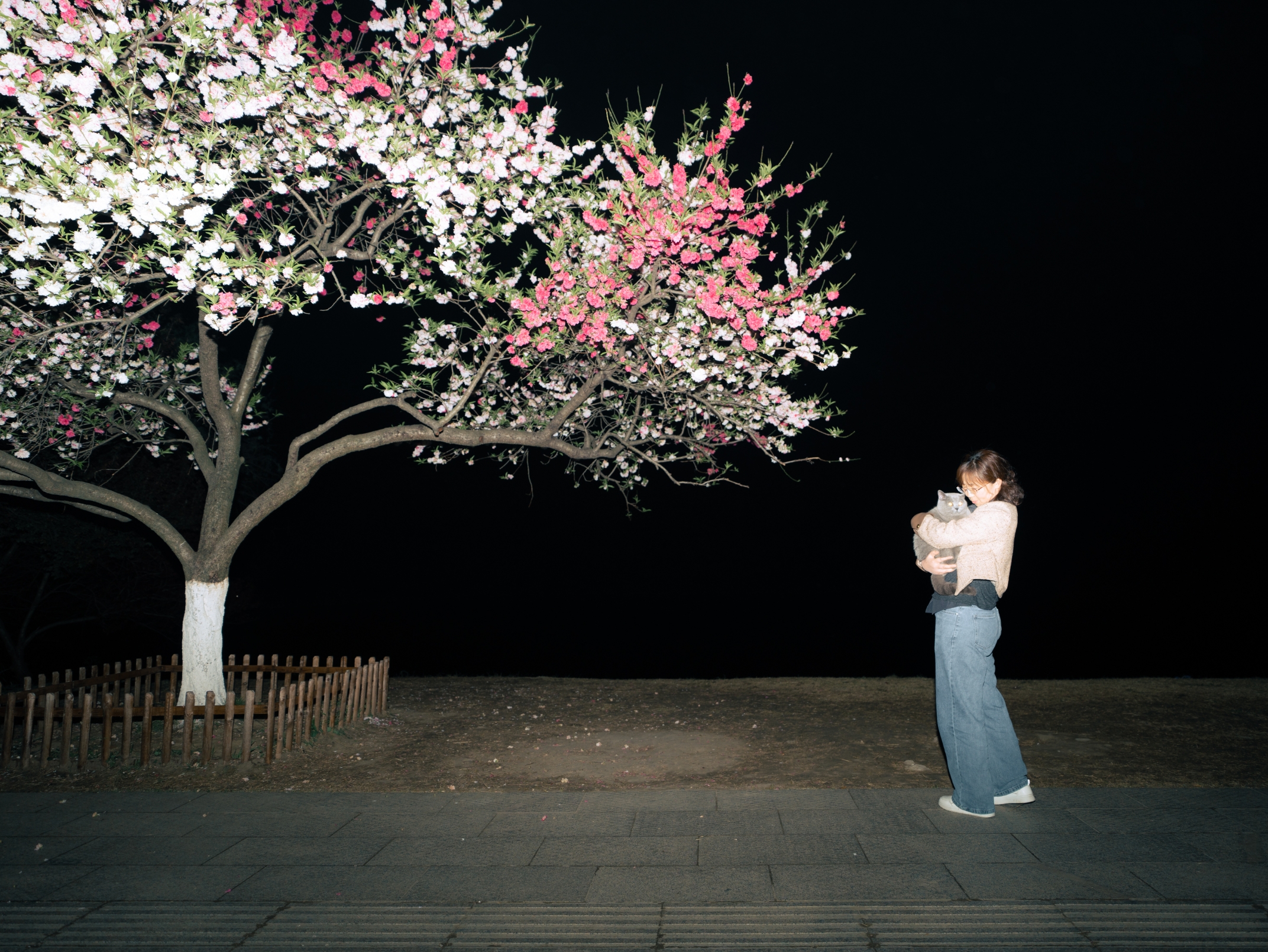 A person standing beside a flowering tree at night